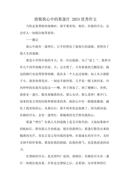 致敬我心中的那盏灯 2024优秀作文