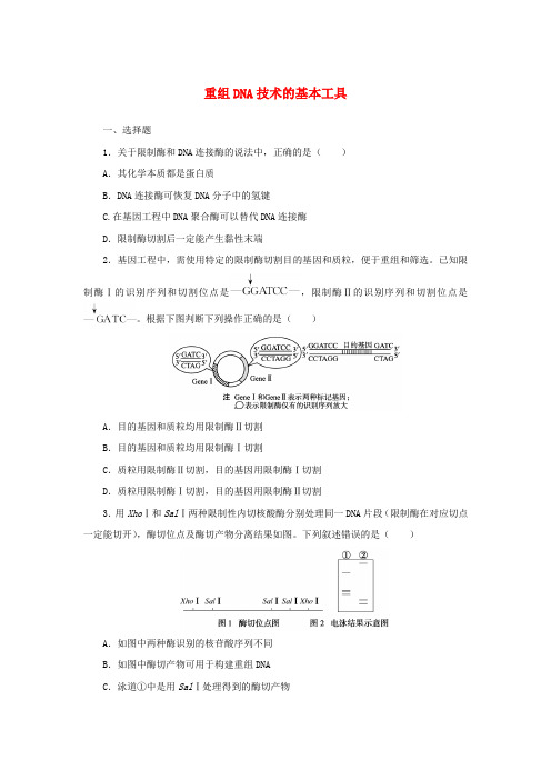 重组DNA技术的基本工具+课后习题 高二下学期生物人教版(2019)选择性必修3