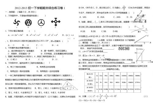 2012-2013年七年级下册数学期末综合试卷