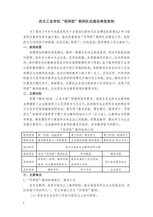 “双师型”教师队伍建设典型案例