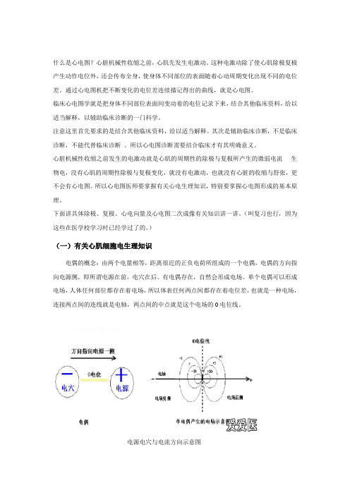 心电图,原理,电生理_副本