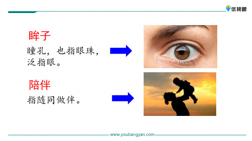 (全新免费版)精选学习课件 四年级上册语文课件 4 珍珠鸟新课标改编版_11-15