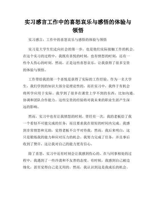 实习感言工作中的喜怒哀乐与感悟的体验与领悟