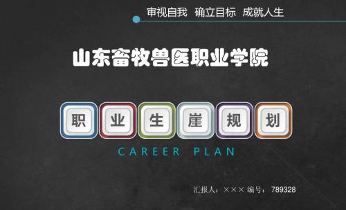 山东畜牧兽医职业学院大学生创业职业生涯规划大赛优秀汇报ppt