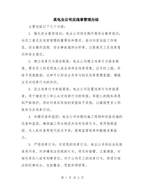 某电业公司反违章管理办法