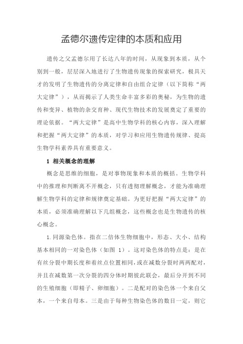 孟德尔遗传定律的本质和应用