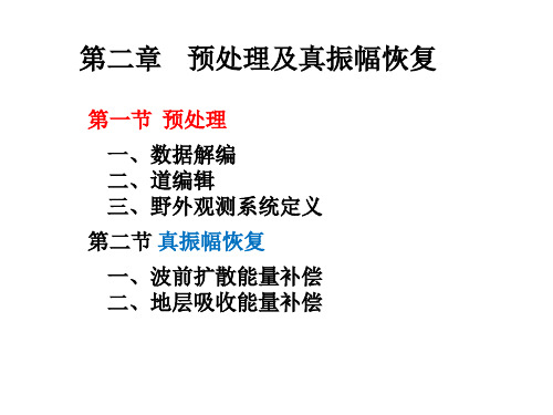 地震数据处理第二章：预处理及真振幅恢复