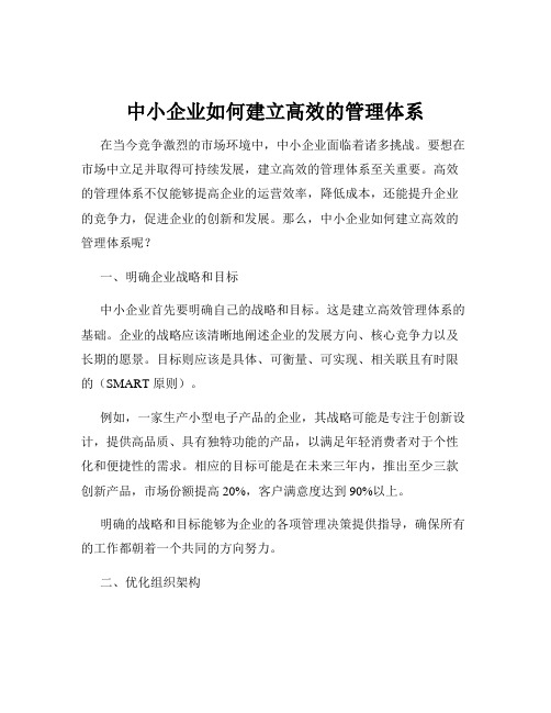 中小企业如何建立高效的管理体系