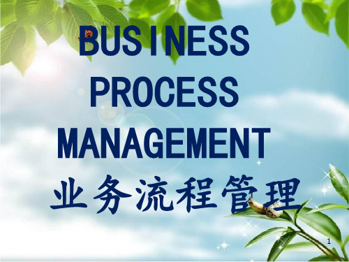 《业务流程管理》PPT课件 (2)