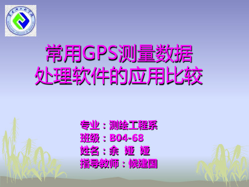 常用GPS测量数据处理软件的应用比较