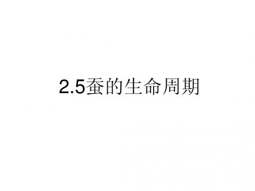 2.5蚕的生命周期,2.6其他动物的生命周期