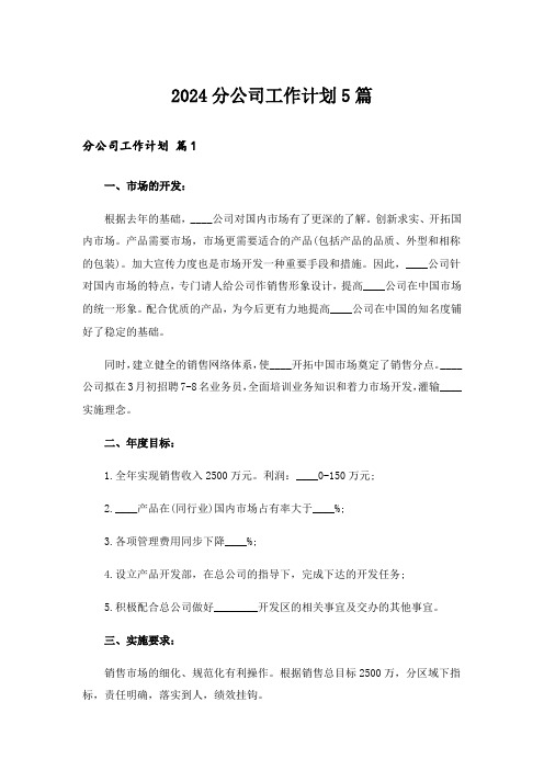 2024分公司工作计划5篇