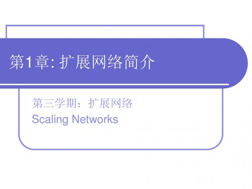 第1章.扩展网络简介