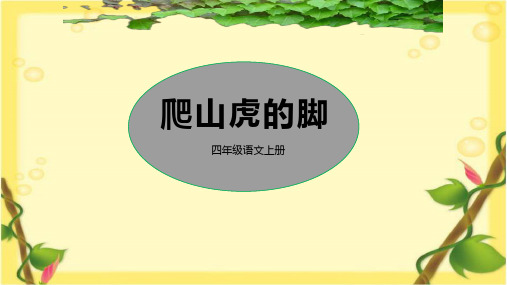 部编版语文四年级上册10《爬山虎的脚》课件(共25张PPT)(1)