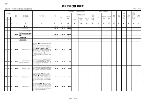 项目支出预算明细表