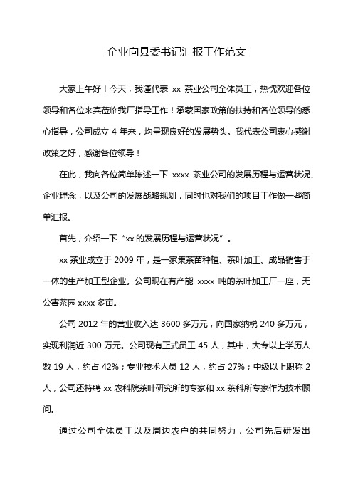 企业向县委书记汇报工作范文