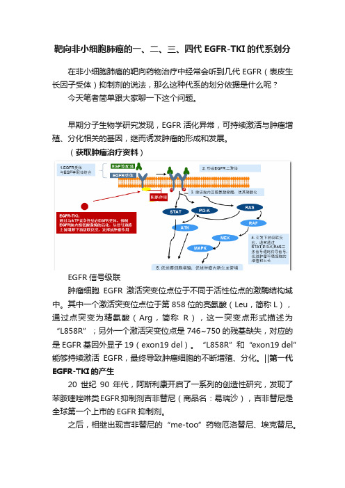 靶向非小细胞肺癌的一、二、三、四代EGFR-TKI的代系划分