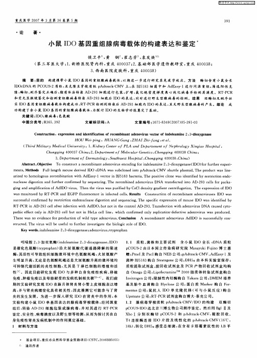 小鼠IDO基因重组腺病毒载体的构建表达和鉴定