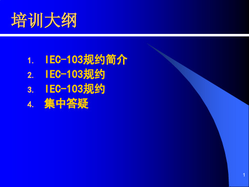 精选IEC103规约培训lfy