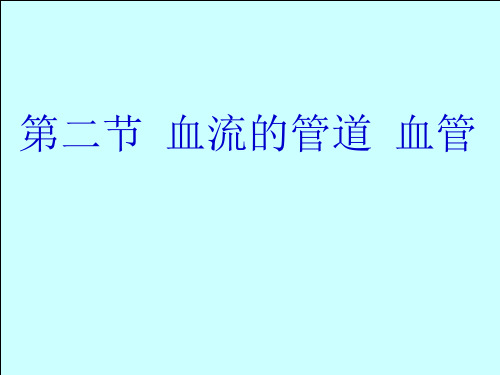 七年级生物血管课件