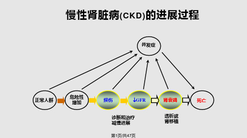 慢性肾脏病的治疗与监测PPT课件