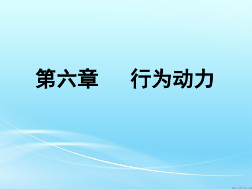 马斯洛需要层次理论