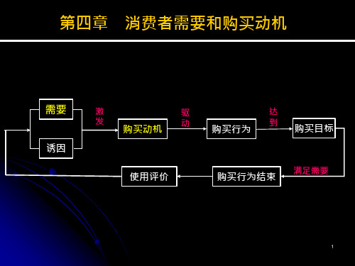 消费者行为学消费者的需要和动机课件