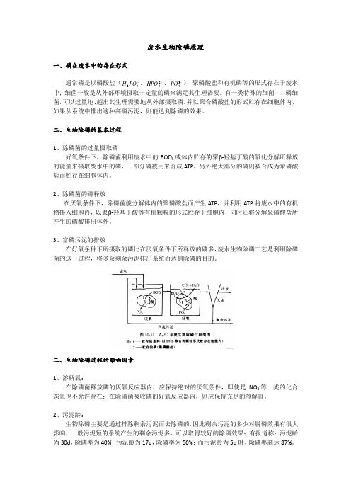 废水生物除磷原理