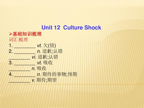 2014高考英语总复习课件 unit 12 culture shock