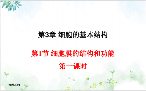 细胞膜的结构和功能【新】人教版高中生物必修一PPT课件