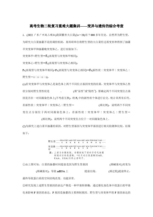 高考生物二轮复习重难大题集训——变异与遗传的综合考查