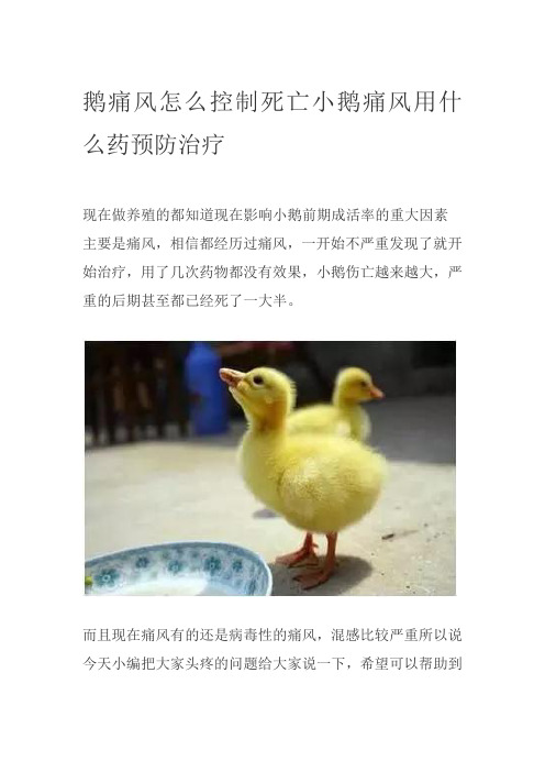 鹅痛风怎么控制死亡小鹅痛风用什么药预防治疗