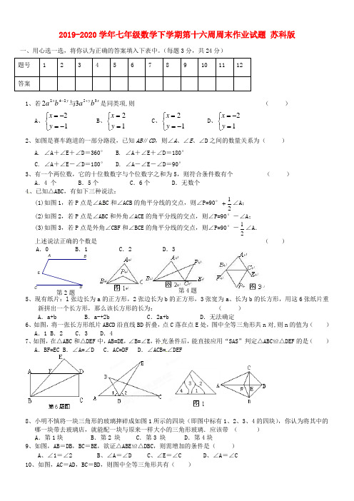 2019-2020学年七年级数学下学期第十六周周末作业试题 苏科版