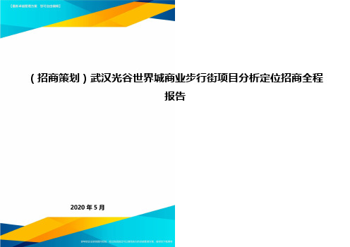 (招商策划)武汉光谷世界城商业步行街项目分析定位招商全程报告