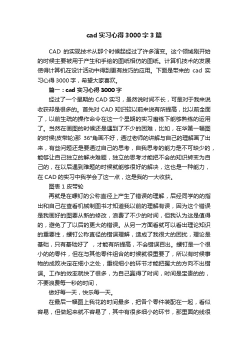 cad实习心得3000字3篇