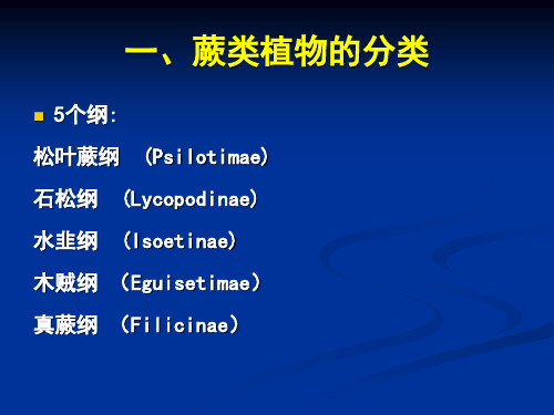 普通生物学-20蕨类植物和裸子植物的分类