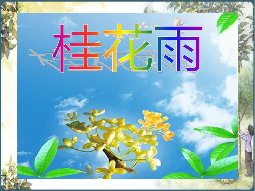 语文五年级上《桂花雨》课件(共17张PPT)