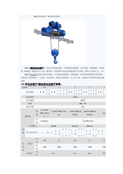 CD1型电动葫芦 钢丝绳电动葫芦