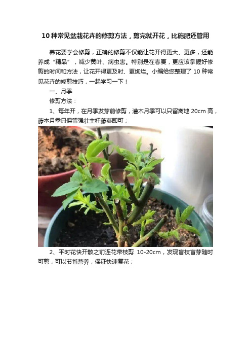 10种常见盆栽花卉的修剪方法，剪完就开花，比施肥还管用