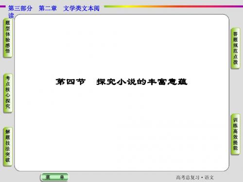 2015届高考语文一轮课件： 探究小说的丰富意蕴