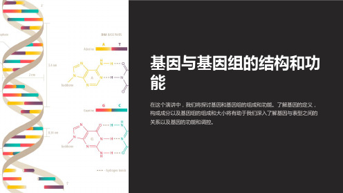 基因与基因组的结构和功能