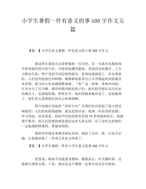 小学生暑假一件有意义的事500字作文五篇