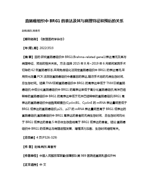 直肠癌组织中BRG1的表达及其与病理特征和预后的关系