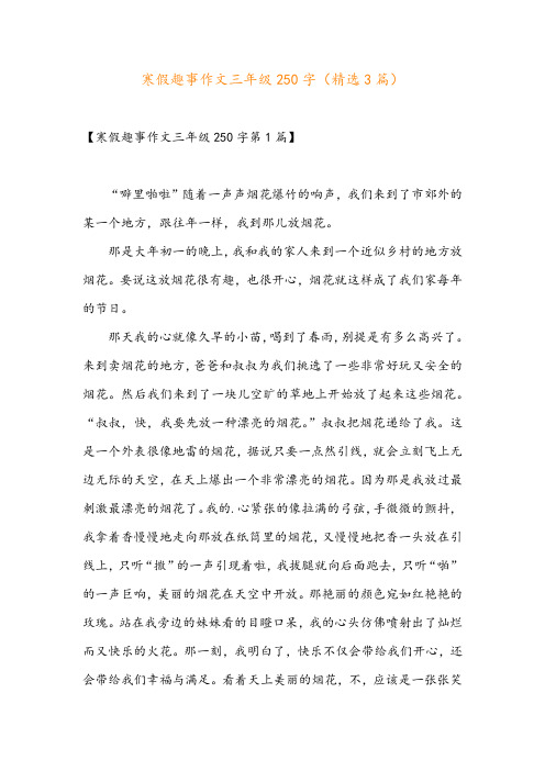 寒假趣事作文三年级250字(精选3篇)