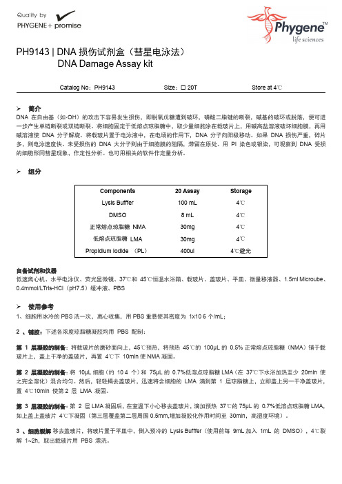 PH9143 DNA损伤试剂盒彗星电泳法实验方法