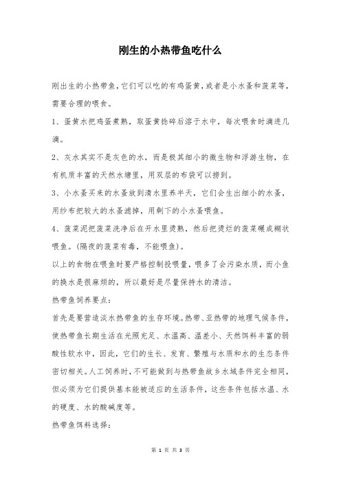 刚生的小热带鱼吃什么