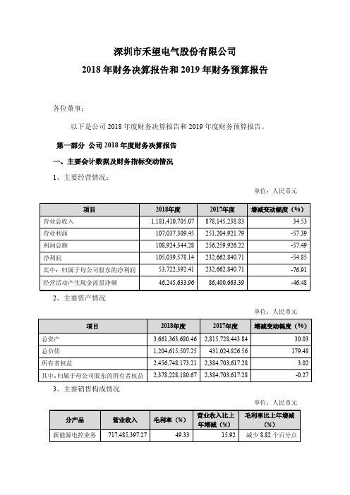 2018年财务决算报告和2019年财务预算报告