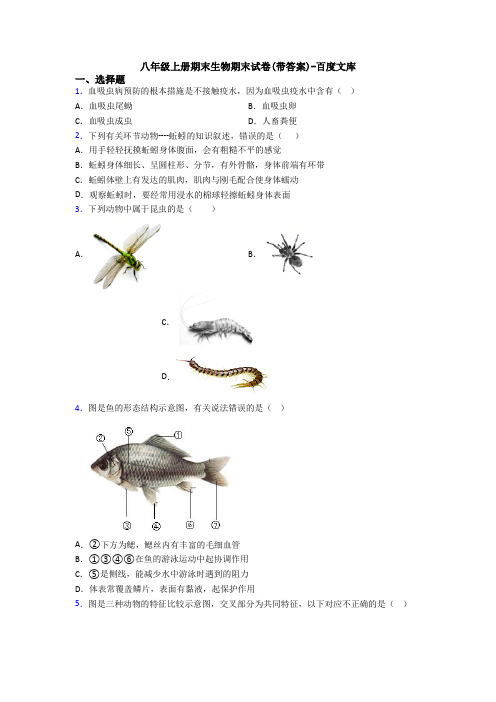 八年级上册期末生物期末试卷(带答案)-百度文库