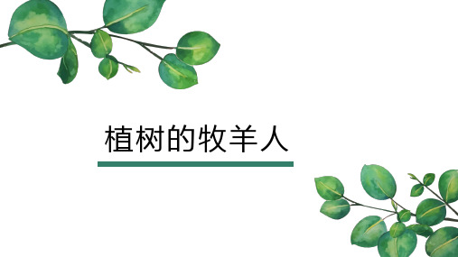 七年级语文上册13《植树的牧羊人》课件