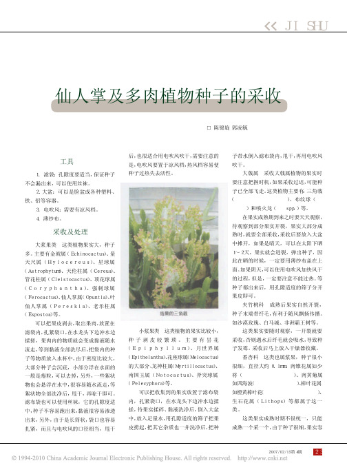 仙人掌及多肉植物种子的采收